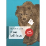 kurzfuhrer_ursus_ladinicus