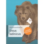 le_pice_acompagnadu_ursus_ladinicus