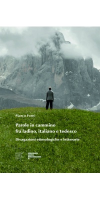 cover_parole_in_cammino
